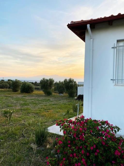 Summer House Spiti Pirgos エパノミ エクステリア 写真